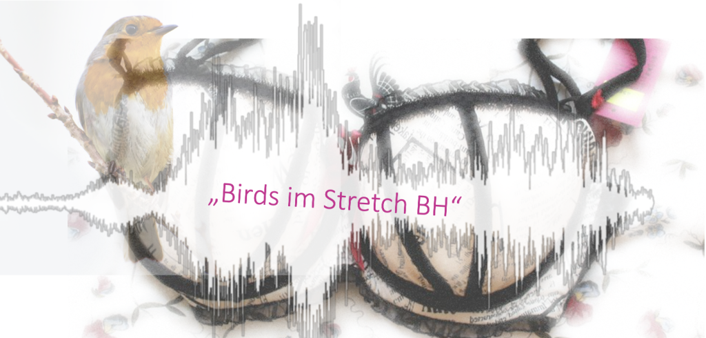 Sound-Installation „Birds im Strech BH“